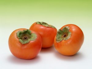 柿の実３個緑バック